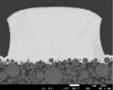 パターン形状例 No treatment